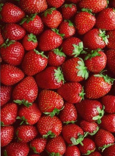فرش آشپزخانه طرح میوه 8